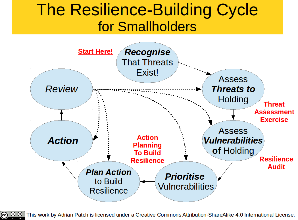 Resilience Building Cycle For Smallholders Other Land Based Projects 
